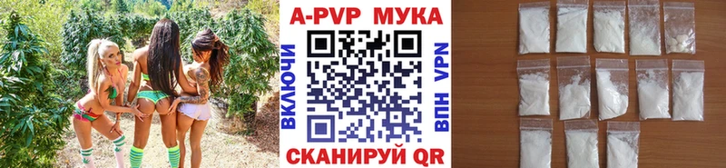 Где купить Белая Холуница Гашиш 