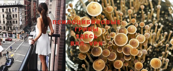 мескалин Ессентукская